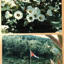 Photographs of La Macagua entrance and its landscapes