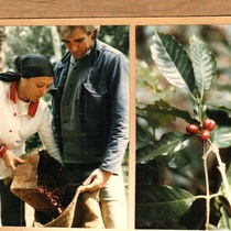 Photographs of a coffee harvest in the mountains taken by actress Ana Olivarez-Levinson in the Escambray