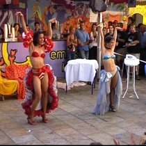 Photograph of the performance, "Hasta aquí Felina"