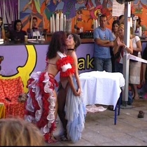 Photograph of the performance, "Hasta aquí Felina"