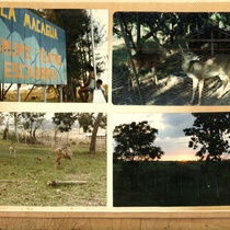 Photographs of La Macagua entrance and its landscapes