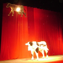 Photograph of the theatrical production, Vacas