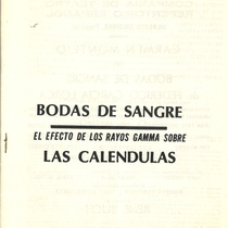 Program for the theatrical production, Bodas de Sangre and El efecto de los rayos gamma sobre las caléndulas